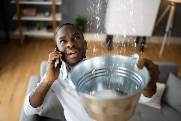 Best Water damage restoration near me  in Gonzalez, FL