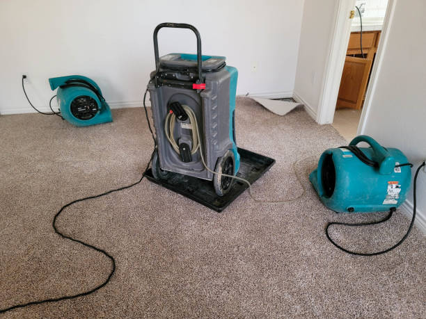 Best Residential water damage restoration  in Gonzalez, FL