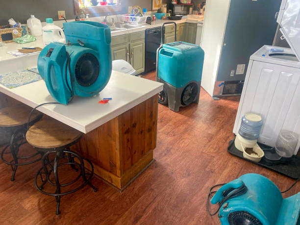 Best Local water damage restoration  in Gonzalez, FL