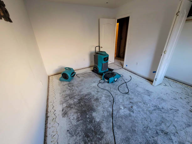  Gonzalez, FL Water damage restoration Pros