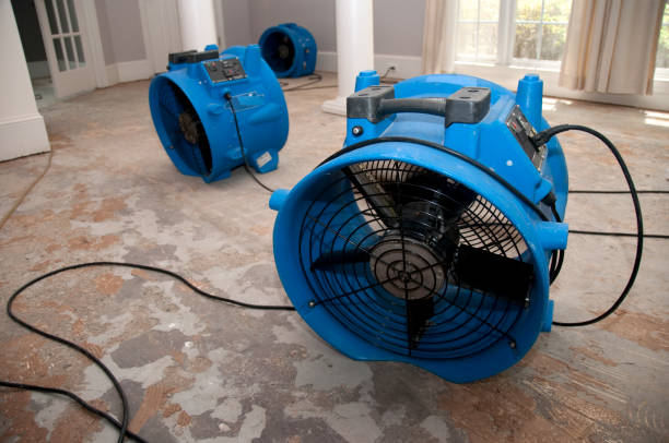 Best Water damage restoration cost  in Gonzalez, FL
