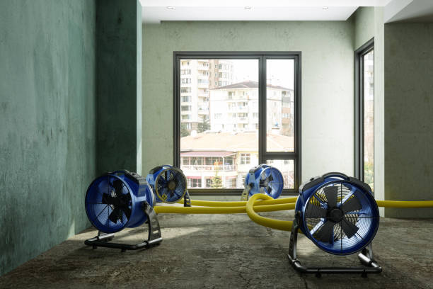 Best Water damage cleanup near me  in Gonzalez, FL